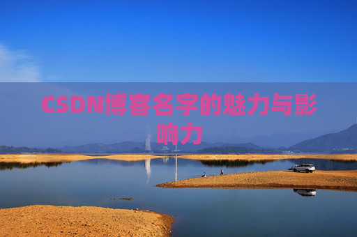 CSDN博客名字的魅力与影响力